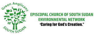 ecss logo